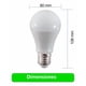 thumbnail image 4 of Ampolleta Led Drl 9w 750lm 220v Luz Cálida O Blanca Fría Sec, 4 of 8