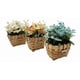 thumbnail image 4 of Planta Artificial Macetero Mimbre Flores Amarillas Naranjas, 4 of 4