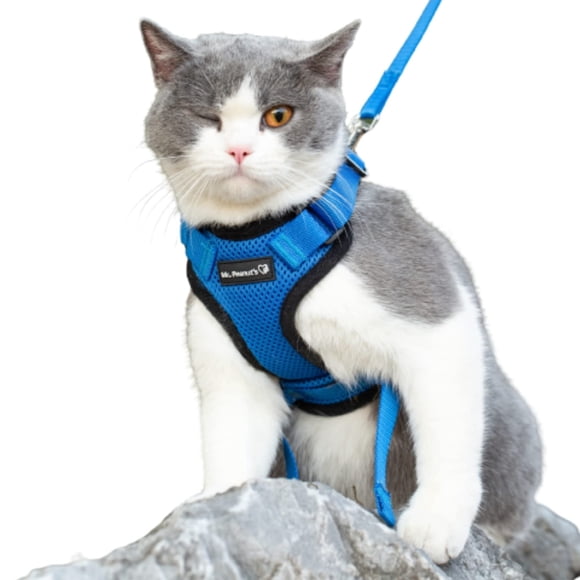Arnés para gatos Mr. Peanut's PurrTrek Reflective con correa Blue S