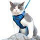 thumbnail image 1 of Arnés para gatos Mr. Peanut's PurrTrek Reflective con correa Blue S, 1 of 9