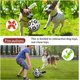 thumbnail image 4 of Pelota de fútbol para perros Domchan 23 cm interactiva para tirar, 4 of 7