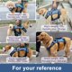 thumbnail image 5 of Arnés de levantamiento de perros Coodeo, cabestrillo de apoyo y recuperación para perros, 5 of 8