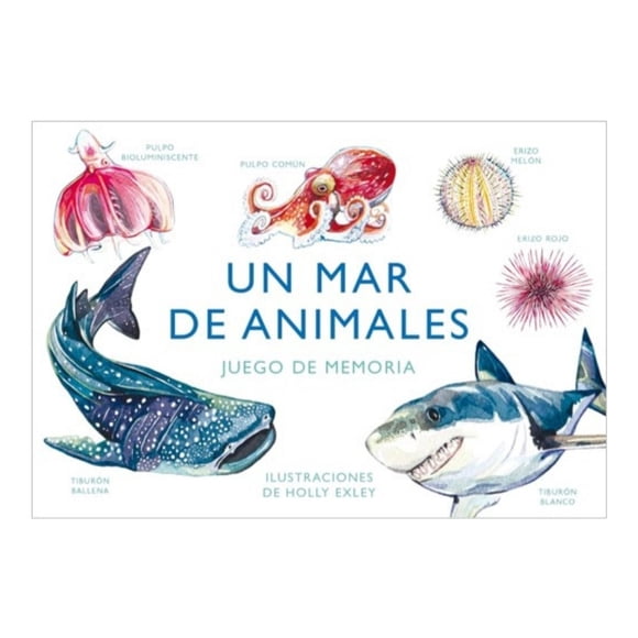 Un Mar De Animales. Juego De Memoria