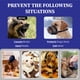 thumbnail image 2 of Bozal Evollax para perros grandes con malla de aire ajustable, 2 of 7