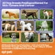 thumbnail image 5 of Protector Solar Para Mascotas K 9 Care Spf 30+ 2 X 100 Ml, 5 of 9