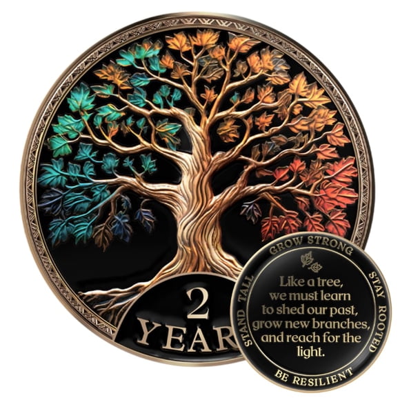 Set de regalo de monedas Sobriety con chip AA MilestoneMint Tree of Life