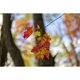 thumbnail image 5 of Lente Sigma 30 mm f/1.4 DC DN para montura RF, 5 of 8