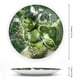 thumbnail image 2 of Hulk Plato decorativo de porcelana fina (bone china), plato decorativo de cerámica para hogar, oficina, soporte de pared, platos decorativos para dormitorio - 6 pulgadas (15 cm), 2 of 6