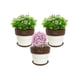 thumbnail image 3 of Set de 3 Maceta Greta 19cm Blanca y sus platos, 3 of 3