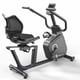thumbnail image 5 of Bicicleta reclinada Ten Series Dreamline R1, 5 of 7