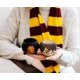 thumbnail image 3 of Juego de minitazas de cerámica Silver Buffalo Harry Potter Gryffindor, 3 of 7
