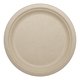 thumbnail image 1 of Platos de Papel World Centric Compostables 23 cm Paquete de 20, 1 of 6