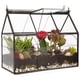 thumbnail image 1 of Terrario de vidrio tipo invernadero D'Eco 25x11x23 cm decorativo, 1 of 9