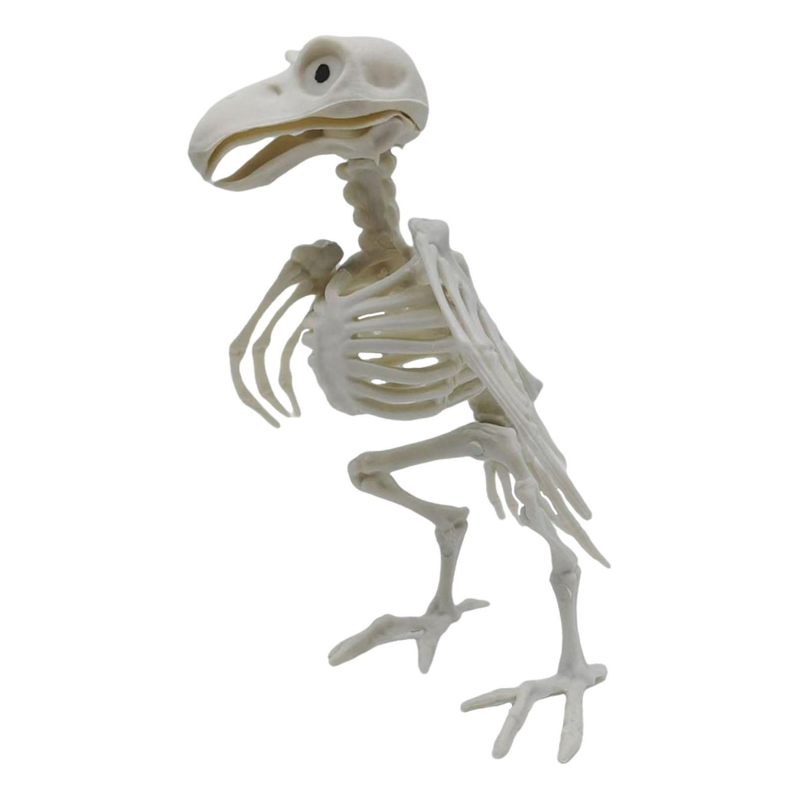 Magideal - Decoración De Esqueleto De De Halloween, Escultura, Decoración Falsa, Figurita De Huesos De Animales Para Fiesta, Festival, Hogar, Escritorio