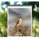 thumbnail image 1 of LIBRO Calendario De Pared Aves De Chile 2026 - TEMÁTICA CHILE, 1 of 2