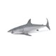 thumbnail image 2 of Figura de Juguete Papo Tiburón Mako Vida Marina Realista, 2 of 6