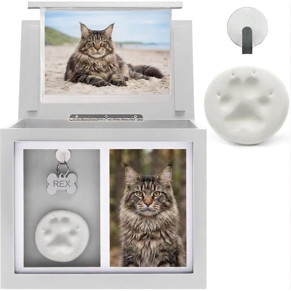 Urna para Mascotas Chasing Tails con Caja de Fotos para Cenizas (24 × 20 × 15 cm)