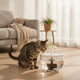thumbnail image 2 of Bebedero Eléctrico Gato Perro Transparente Mascotas 220v, 2 of 10
