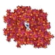thumbnail image 1 of Rompecabezas Clementoni Disney Frozen 2 Impossible 1000 piezas, 1 of 2