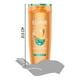 thumbnail image 2 of Shampoo Elvive Óleo Extraordinario Rizos, 370 ml, 2 of 6