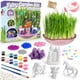 thumbnail image 4 of Kit de jardín de hadas Bloonsy Unicorn con luz para niños de 4 a 12 años, 4 of 6