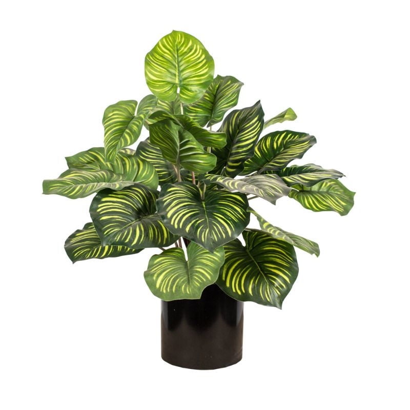 The Garden - Planta Artificial Calathea 45 Cm