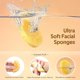 thumbnail image 2 of GAINWELL Esponjas faciales comprimidas, 50 unidades, 100 % de madera natural, 2 of 3