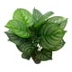 thumbnail image 3 of Planta Artificial Aglaonema 60 cm, 3 of 3