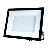 Want - Proyector De Área Led Ecothin 200W Frío