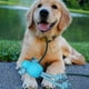 thumbnail image 3 of Set 3 Juguetes De Cuerda Con Goma Perro Mascotas Lau, 3 of 3