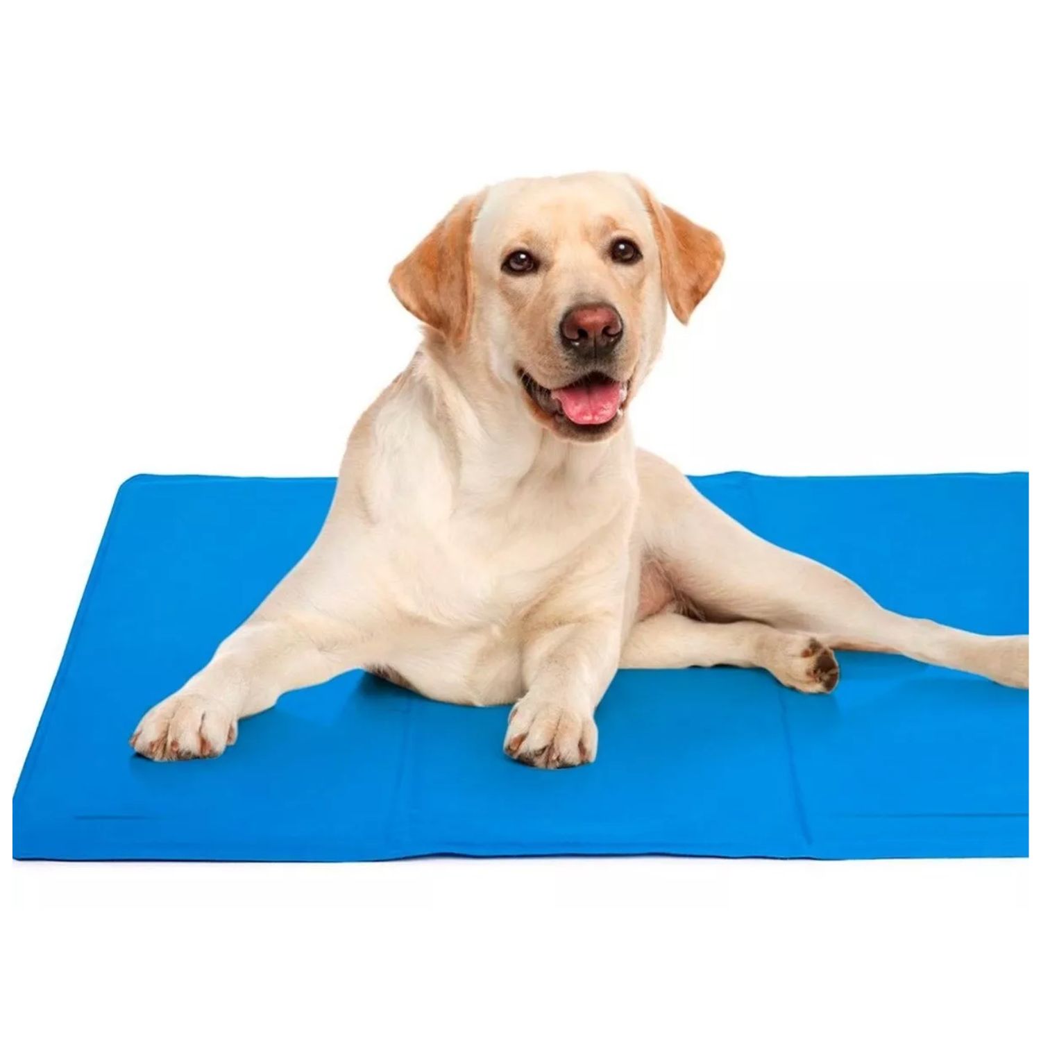 Genérico - Manta Para Perro Refrescante Refrigerante Cool Mat 90X50Cm