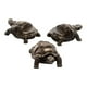 thumbnail image 5 of Elevadores De Macetas De 3 Piezas Para Macetas, Adorno Decorativo Para Parque, Hogar, Tortuga Interior, 5 of 5