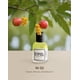 thumbnail image 2 of Perfume EYFEL W52 PARIS Eau de Parfum para mujer 50 ml, 2 of 8