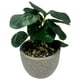 thumbnail image 3 of Planta base cemento, 3 of 8