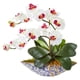 thumbnail image 1 of Arreglo artificial: orquídea Phalaenopsis casi natural, 1 of 1