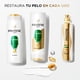 thumbnail image 5 of Acondicionador Pantene Pro-V Restauración, 400 ml, 5 of 5