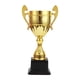 thumbnail image 5 of Trofeos De Premios Premios Trofeos Pequeños Para Niños Para Celebraciones De Fiestas Accesorios Para Eventos Gold L, 5 of 5