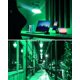 thumbnail image 4 of Bombilla LED ORALUCE A15 de 5 W, 450 LM, 6 colores, E26, equivalente a 40 W, paquete de 6, 4 of 9