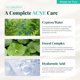 thumbnail image 4 of Crema hidratante ALWAYS BE PURE Forest Therapy 80 ml, 4 of 9