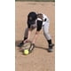thumbnail image 4 of Training Softbol Swax, paquete de 2 unidades, Game Master, amarillo, 11 pulgadas, 4 of 5