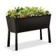 thumbnail image 1 of Jardinero Macetero Huerto Easy Grow Keter marron, 1 of 6