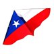 thumbnail image 1 of Pack X 4 Cometa Plástico Chile, 1 of 3