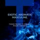 thumbnail image 2 of Perfume Territoire Eau De Parfum Cobalt para hombre, 2 of 6