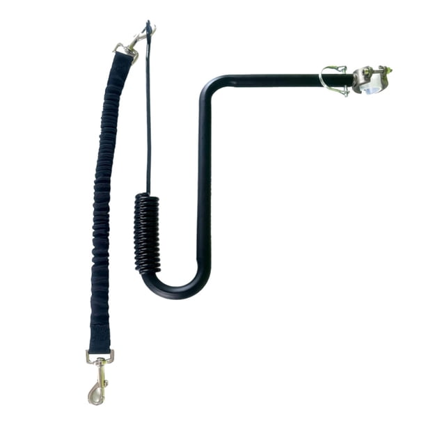 Correa para bicicleta para perros, accesorio para pasear perros, resistente a golpes, para exteriores, rueda libre para entrenamiento de cachorros, ci