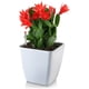 thumbnail image 1 of Macetero autorregante Elsie 14, 1 of 2