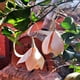 thumbnail image 2 of Aros Acero Copihues Beige Nude, 2 of 3