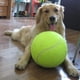 thumbnail image 5 of Pelota de tenis para perros de 9,5 pulgadas, juguete grande para mascotas, pelota deportiva para exteriores para perros, 5 of 5