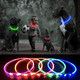 thumbnail image 5 of Collar LED para perros - Collar para perros con luz recargable por USB que brilla en la oscuridad., 5 of 6