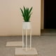 thumbnail image 2 of Porta Macetero Pedestal Decorativo Blanco 76 cm, 2 of 3