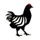 thumbnail image 2 of Estacas De Pollo Negro Grande Patio Al Aire Libre Decoración De Jardín Patio Art Metal Art Hen, 2 of 5